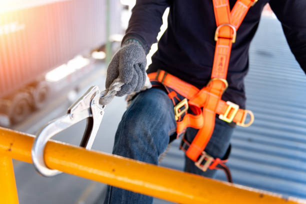 istockphoto 1004369888 612x612